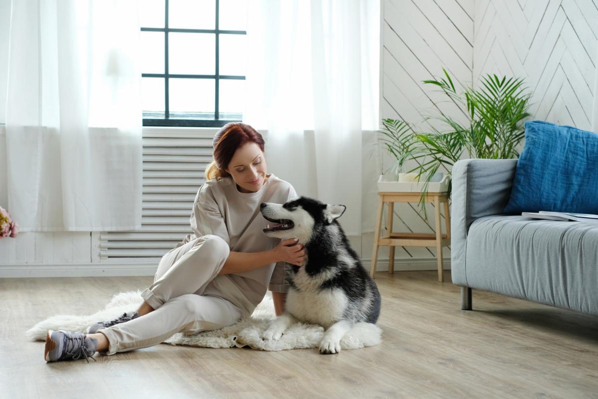 How to Choose the Right Apartment for You and Your Pet