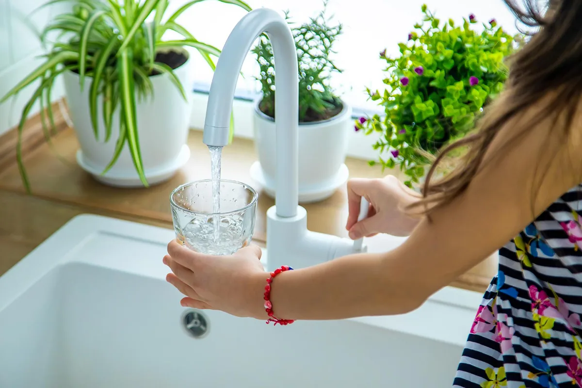 Best Water Filters for Your Apartment