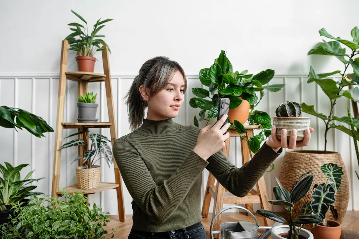 Go Green While Redecorating Your Apartment